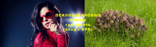 тгк Баксан
