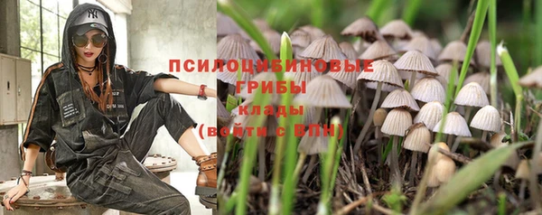 трава Балахна